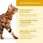 АКЦІЯ Optimeal Сухий корм для кішок зі смаком курки Вага: 0.2+0.1 кг 2