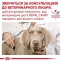 Royal Canin Urinary S/O Canine Ageing 7+ 85г Влажный корм для мочевыделительной системы собак старше 7 лет 0