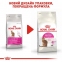 АКЦІЯ Royal Canin Exigent Savour сухий корм для котів, вибагливих до складу продукту 8+2 кг 6