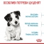 АКЦИЯ Royal Canin Mini Puppy сухой корм для щенков малых пород 1,6 кг + 400 г 2