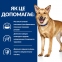 Hill’s PRESCRIPTION DIET i/d Digestive Care з індичкою вологий корм для собак догляд за травленням 360 г 0