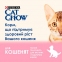 Cat Chow Kitten консерва для котят с индейкой и цуккини, 85 г 2