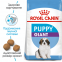 Royal Canin (Роял Канин) Giant Puppy 0
