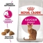 АКЦІЯ Royal Canin Exigent Savour сухий корм для котів, вибагливих до складу продукту 8+2 кг 0
