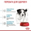 АКЦИЯ Royal Canin Mini Puppy сухой корм для щенков малых пород 1,6 кг + 400 г 3