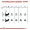 АКЦІЯ Royal Canin Hairball Care сухий корм для виведення грудочок вовни у кішок 8+2 кг 6