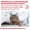 АКЦІЯ Royal Canin Gastrointestinal для кішок при розладах травлення набір корму 2 кг + 4 паучі 8