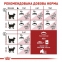 АКЦІЯ Royal Canin Fit сухий корм для домашніх та вуличних котів 8+2 кг 4