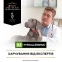 Pro Plan Veterinary Diets HA Hypoallergenic вологий корм для собак 195 г 3