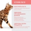 Акция Optimeal Сухой корм для кошек с высоким содержанием телятины 1