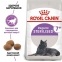 АКЦІЯ ROYAL CANIN STERILISED 7+ сухий корм для дорослих стерилізованих кішок 1.2 кг + 300 Г 0