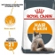 АКЦІЯ Royal Canin Hair Skin Care з проблемною вовною набір корму для котів 2 кг + 4 паучі 0