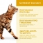АКЦІЯ Optimeal Повно раціонний сухий корм для дорослих кішок курка 4 кг 2