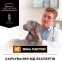 PRO PLAN Veterinary Diets NF Renal Function сухой корм для собак при заболеваниях почек 3