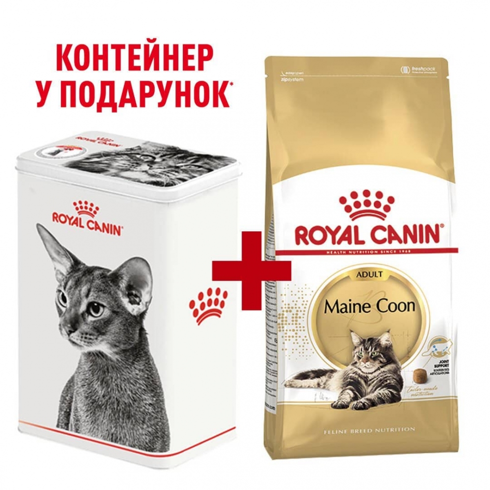Акція сухий корм Royal Canin Mainecoon Adult 2кг + контейнер в подарунок