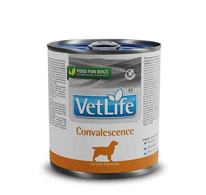 Вологий корм Farmina Vet Life Convalescence для собак для відновлення, 300 г