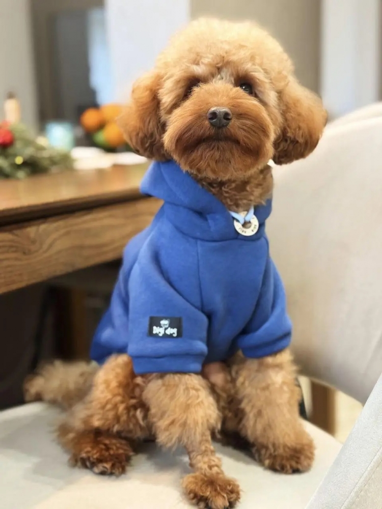 Худі Indigo Digi Dog для собак толстовка синя. L. 36 см/58 см.