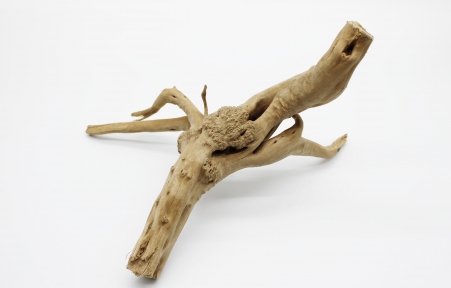 Декорация  Корень азалия для аквариума.