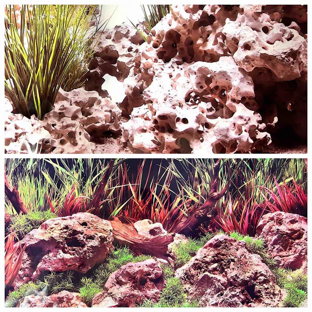 Фон для аквариума двусторонний Marine Planted Hideaway/Texas Cloud, 30х60 см