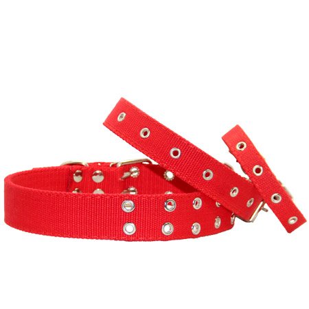 Нашийник економ брезент подвійний безрозмірний червоний