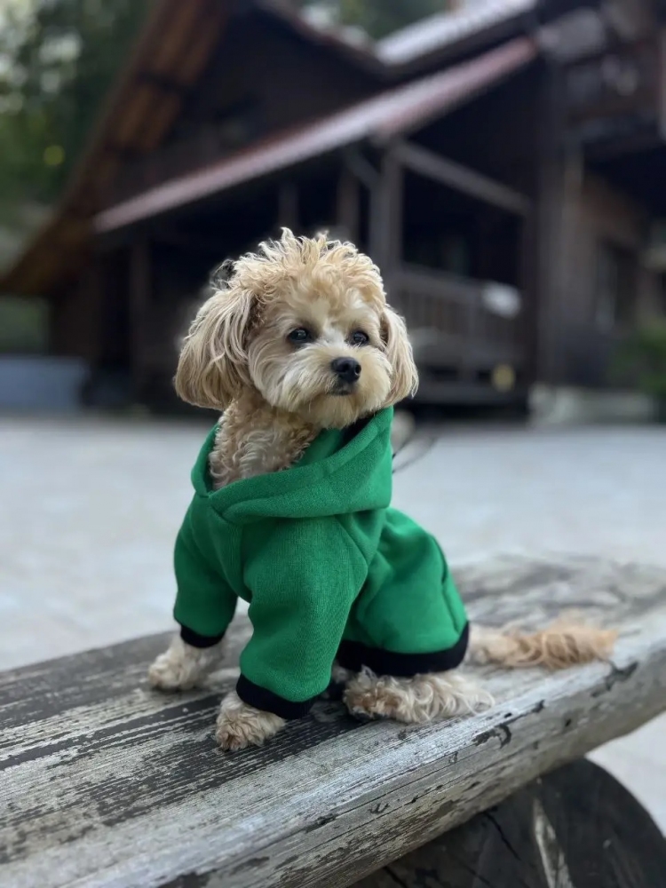 Худи Indigo Digi Dog  для собак с карманом толстовка Зеленая. Xl. 40 см. / 62 см.