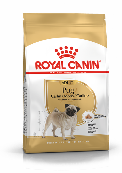 Дорослий Мопс Royal Canin (Роял Канін мопс Едалт)