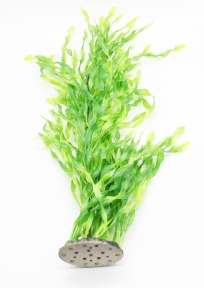 Рослина для акваріума 117В, 60 см