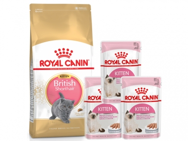 Royal Canin BRITISH SHORTHAIR 2кг+3пауча KITTEN INSTINCTIVE