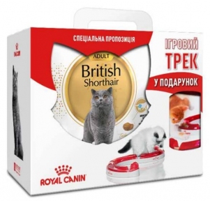 Акция Сухой корм Royal Canin British Shorthair 4кг + Игровой Трек в подарок