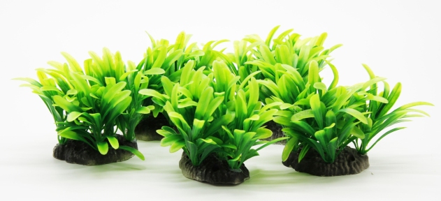 Набор растений для аквариума, 10х10х8 см (5 шт)