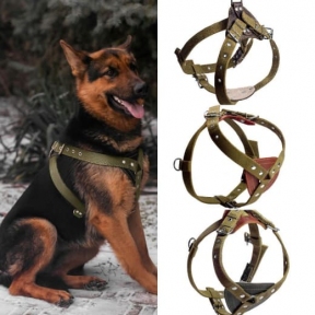 Шлея серце одинарна