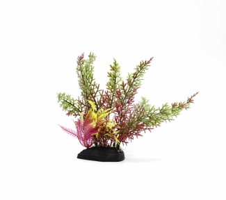 Растение для аквариума М762, 18х8х5 см