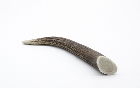 Рог оленя Lucky dogs Твердый.