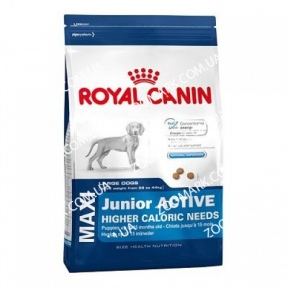 Royal Canin Maxi Junior Active (Роял Канин Макси Юниор)