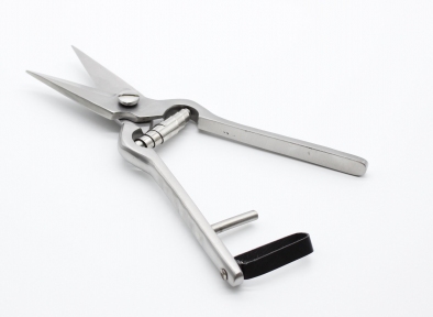 Ножиці для обрізки копит вівці.