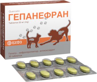 Гепанефран 20мг гепатонефропротект, антиоксидант, 30 таблеток БХФЗ