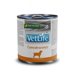 Влажный корм Farmina Vet Life Convalescence для собак для восстановления, 300 г