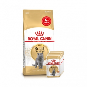 АКЦИЯ Royal Canin British shorthair корм для кошек британская короткошерстная 2 кг+ 4 паучи