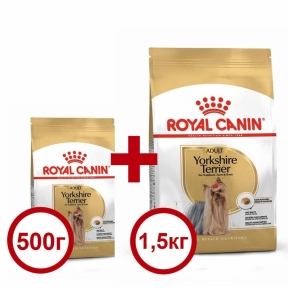 Акция Сухой корм Royal Canin Yorkshire Terrier Adult 1,5кг + 500г в подарок