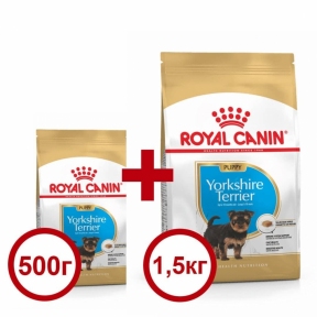 Акция Сухой корм Royal Canin Yorkshire Terrier Puppy 1,5кг + 500г в подарок