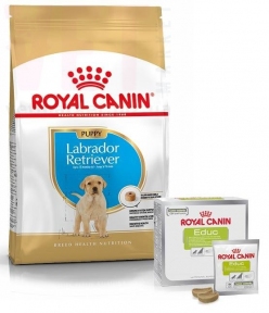 АКЦИЯ Royal Canin Labrador Retriever Puppy для щенков породы Лабрадор-ретривер 12 кг + наполнитель EDUC 30л