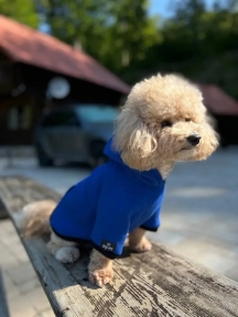 Худи Blue Digi Dog для собак с карманом, Синяя.