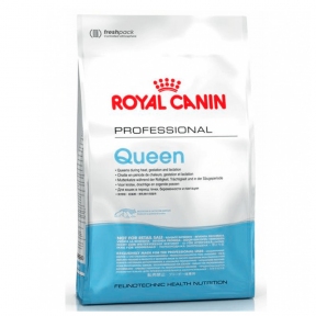 Royal Canin PRO Queen сухий корм для вагітних і годуючих кішок 4кг