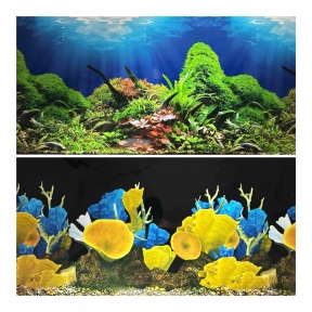 Фон для акваріуму двобічний, 30х15 м