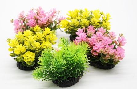 Набір рослин для акваріуму, 10х10х8 см (5 шт)