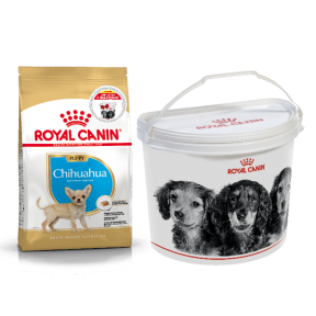 Акція сухий корм Royal Chihuahua Puppy 1.5 кг+контейнер-корм для цуценят породи Чихуахуа