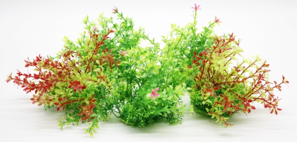 Набор растений для аквариума, 13х10х11 см (5 шт)