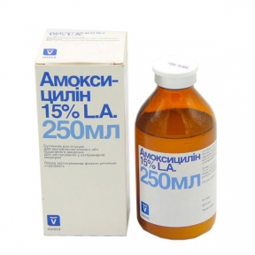 Амоксицилин — антибиотик пенициллинового ряда