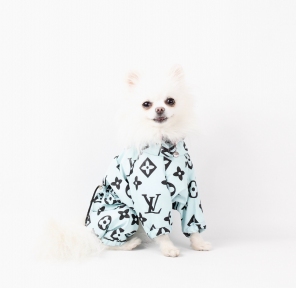 Дощовик Імідж плащівка без підкладки унісекс S 29 см. / 40-45 см.