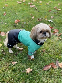 Комбинезон Вуди на силиконе (мальчик)